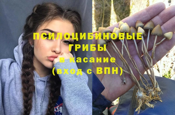 мет Майский